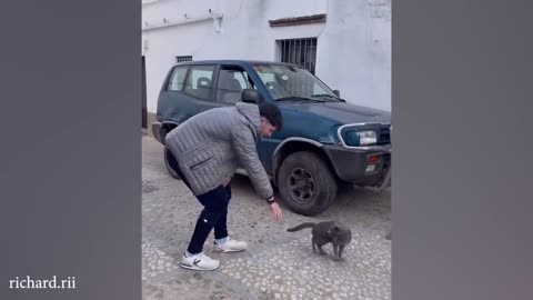 When your cat is like your sibling 🤣