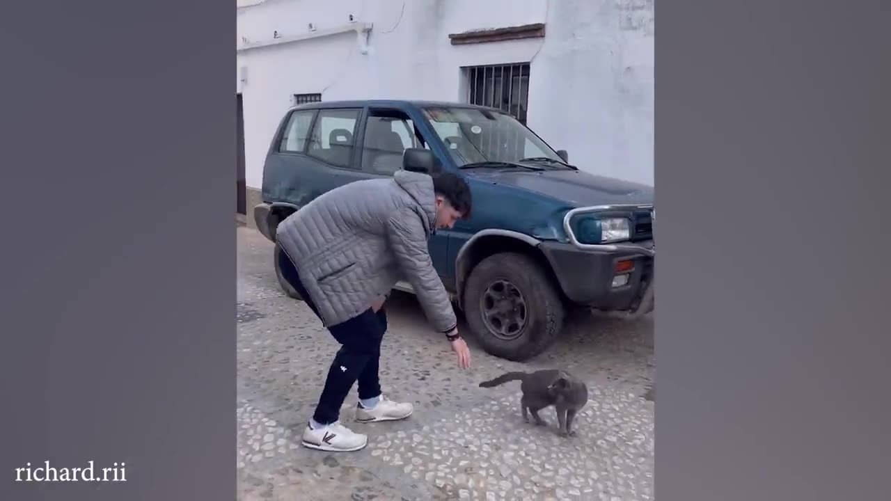 When your cat is like your sibling 🤣