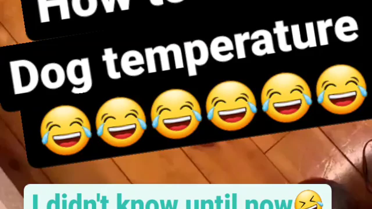 What the...😮