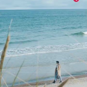 Beautiful Kaliningrad