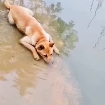 Blowing bubbles is fun