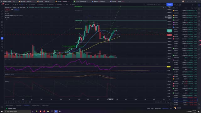 The Purpose and Ramifications of Bitcoin