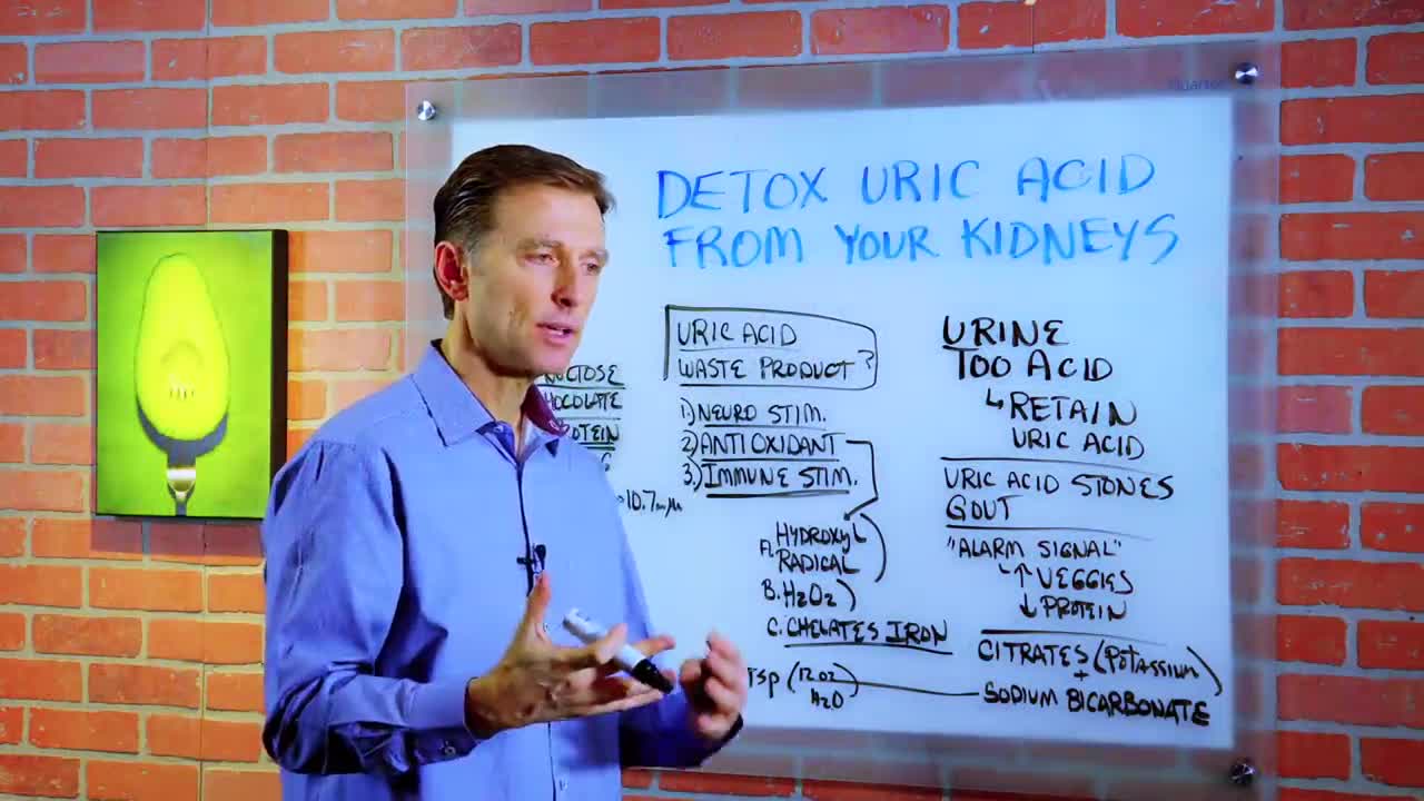 DrBerg-Detoxify Uric Acid From Kidneys-Kidney Cleanse