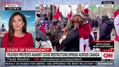 LOL The Media is LOSING IT over the Freedom Convoy!