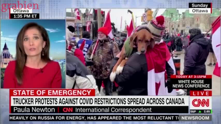 LOL The Media is LOSING IT over the Freedom Convoy!
