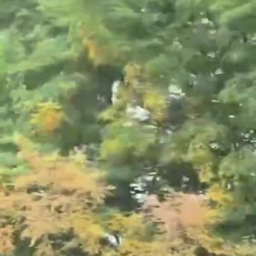 Fire erupts after explosion at TC Energy pipeline in Strasburg, Virginia-2