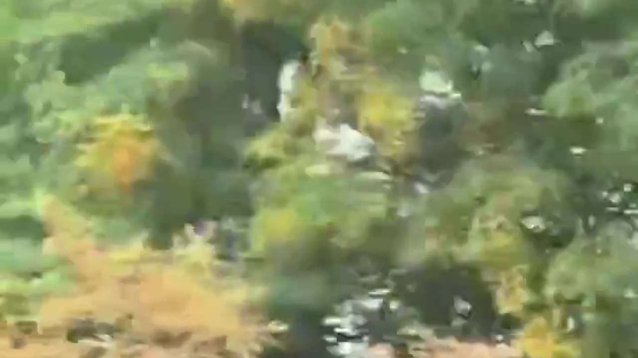 Fire erupts after explosion at TC Energy pipeline in Strasburg, Virginia-2