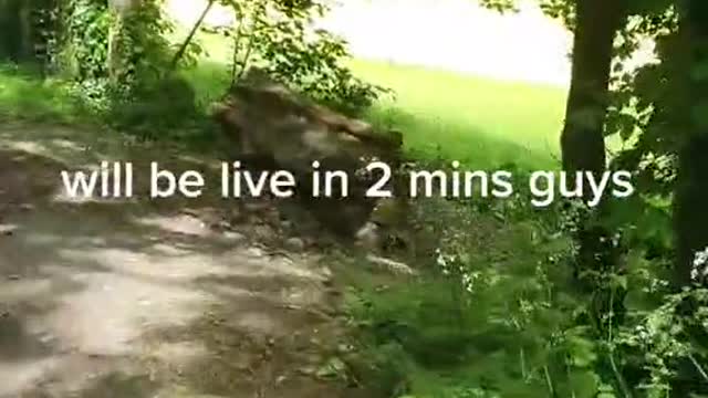 quick trout session guys jump in and lets crank some fish