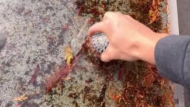 POV: When you need to unclog 1 drain for an elderly lady