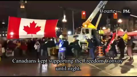 Canadian Freedom Convoy's Diary || Valentine's Day Edition || Foreign News