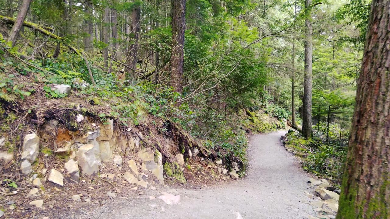 Sasamat Lake - Vancouver Hike