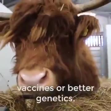 Bill Gates in UK Very soon everything you will consume in UK will have MRNA inside👌