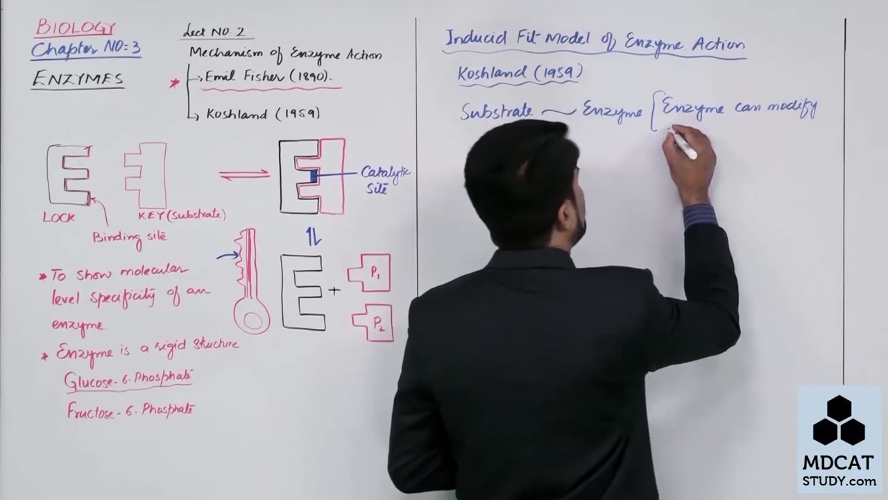 LEC#2 MECHANISM OF ENZYME ACTION