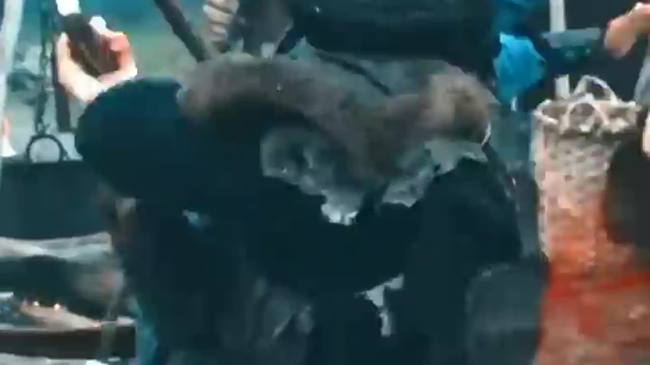 Bamsi saves the Sultan