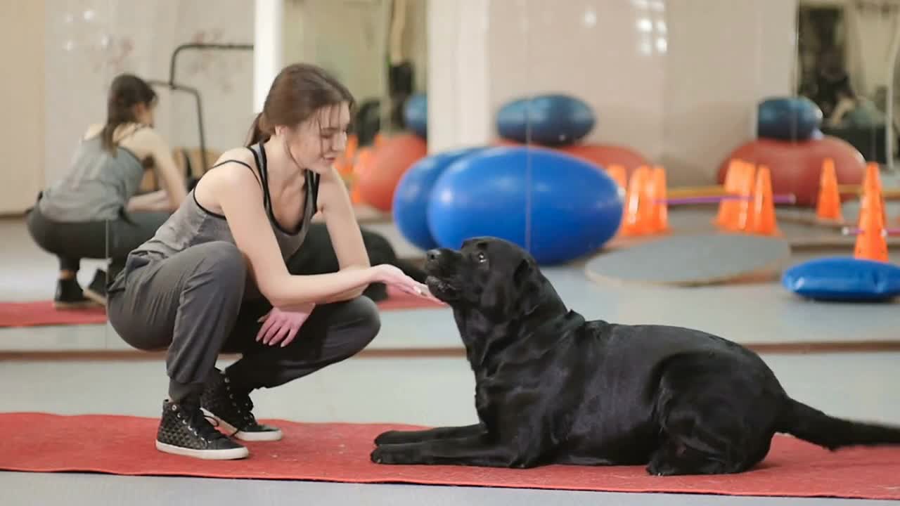 Young girl caress a cute black dog