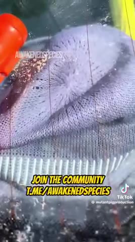 They say it's sand from Sahara