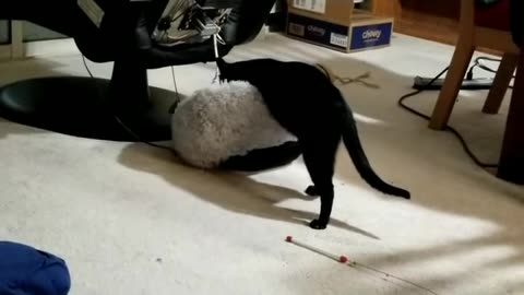 20240402 221223 Tux Kneading Shaggy Blob