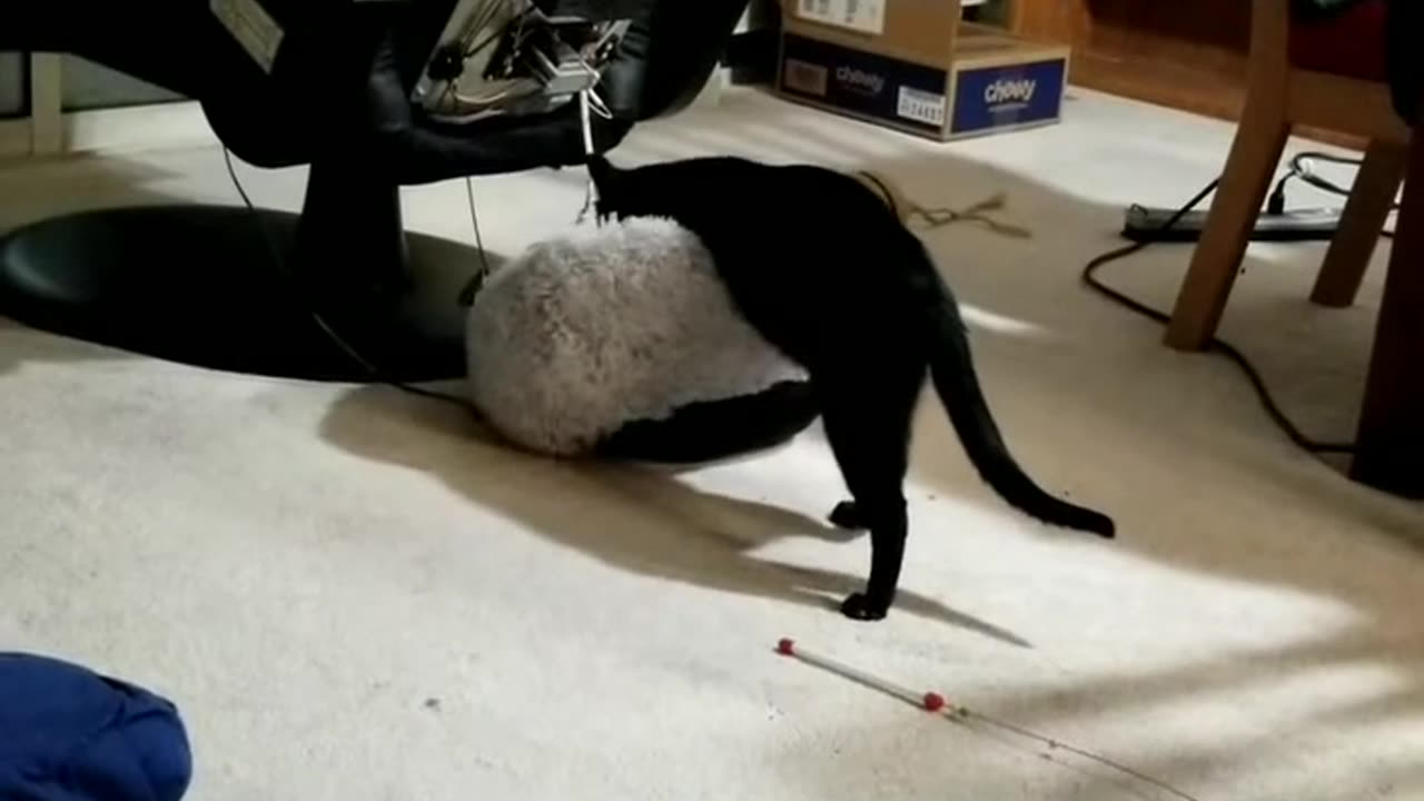 20240402 221223 Tux Kneading Shaggy Blob