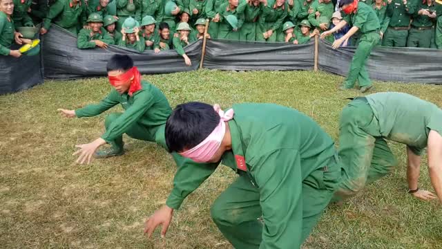 blindfolded to catch pigs