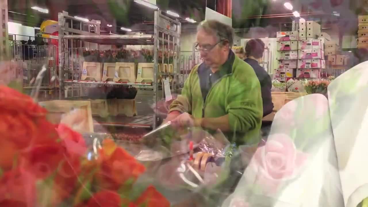 Packing flowers