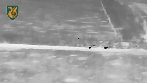 Incredible Footage of Ukrainian Overnight Artillery Strikes