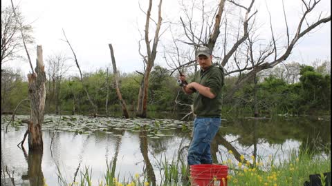 fishing a farm pond