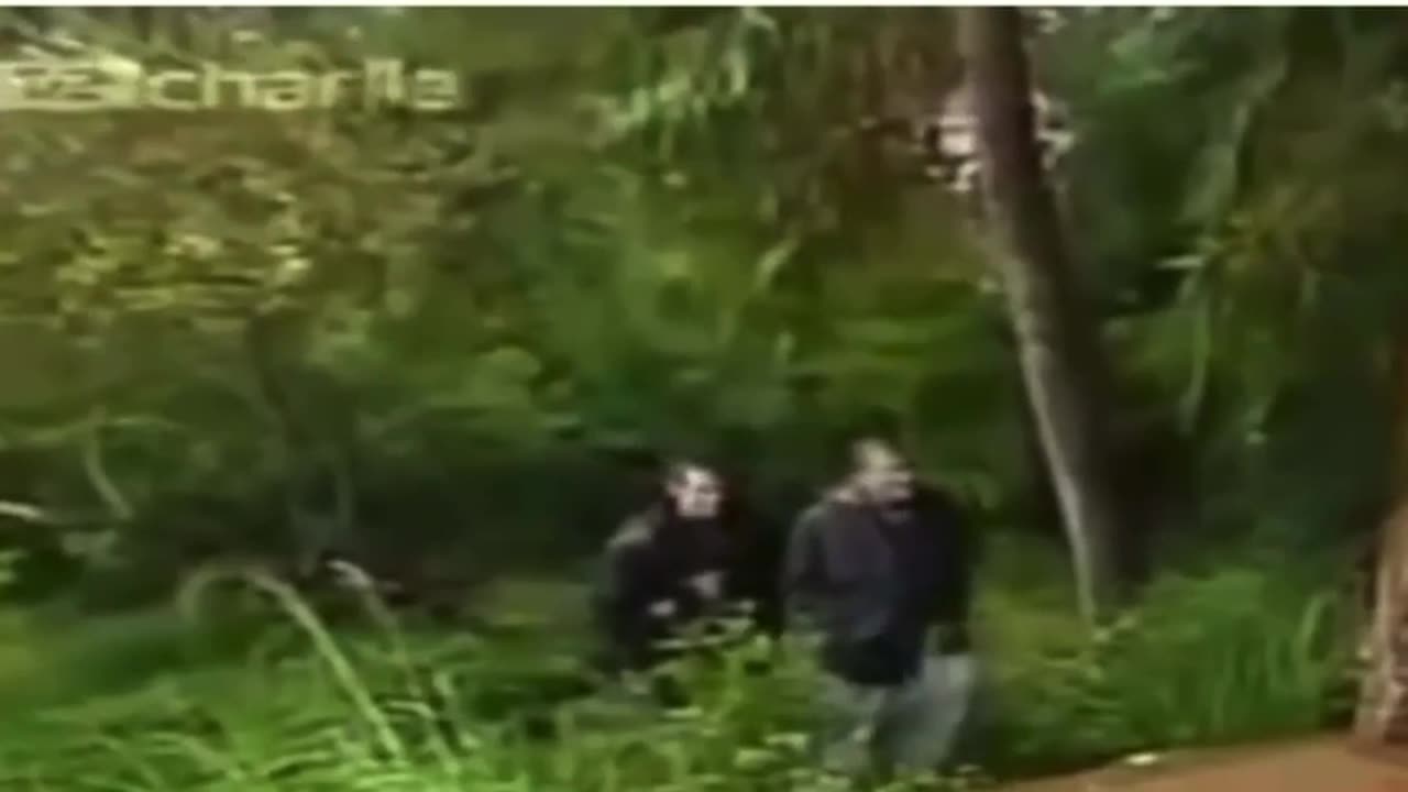 Jim Carrey Exposed the Cabal years ago...