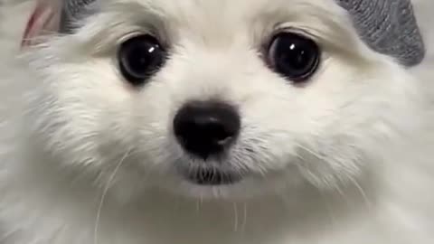 I am so cute