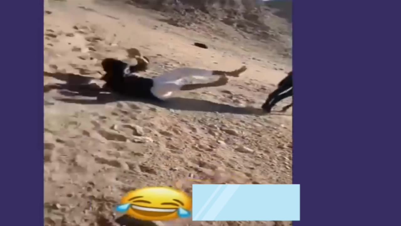 Funny moments with stupid people