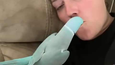 There's No Napping Around A Parrot..