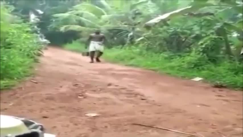 Funny Video - A Snake Appeared on the Path