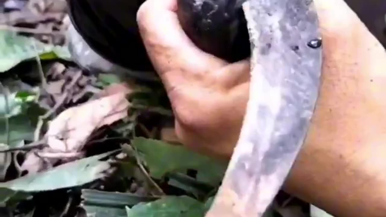 Original colour fruit 🍑 🍓🍑