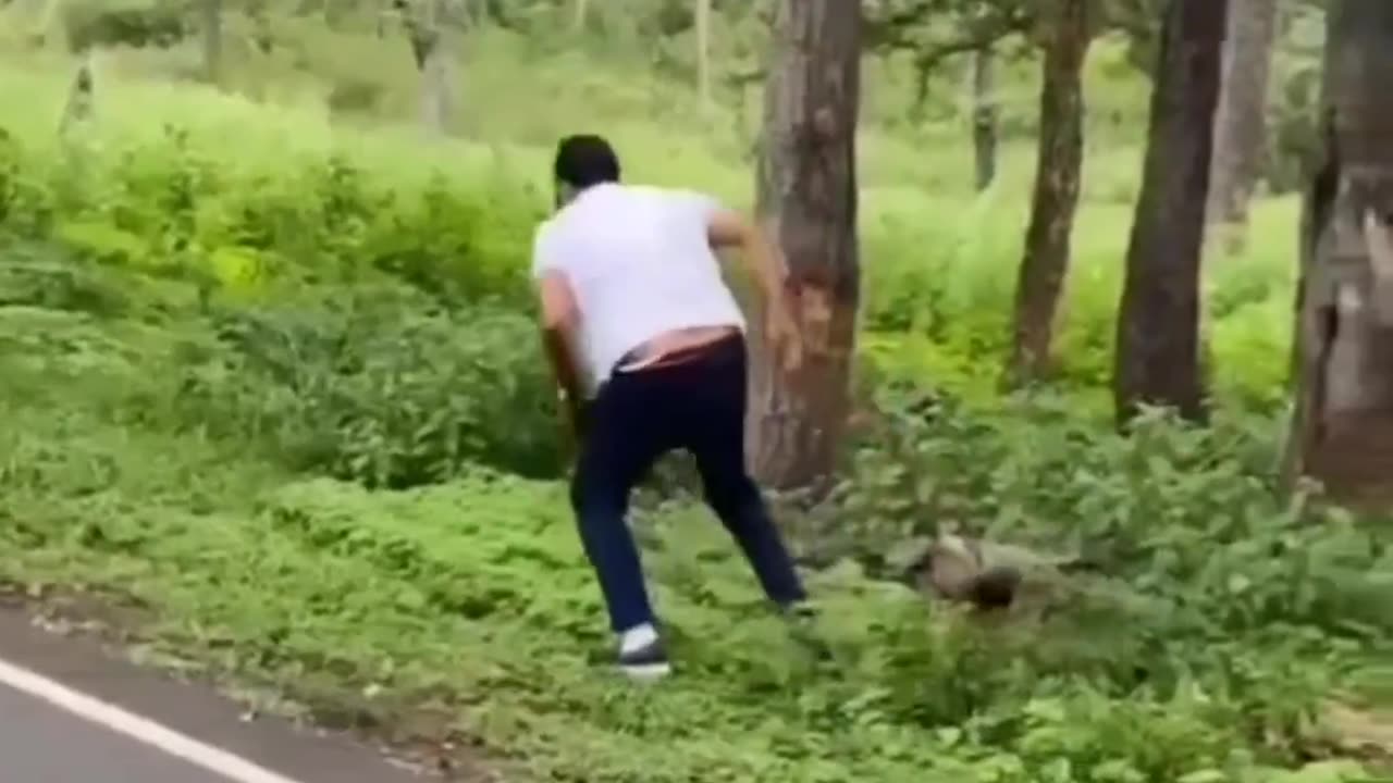 Elephant Charges Man (Crazy)