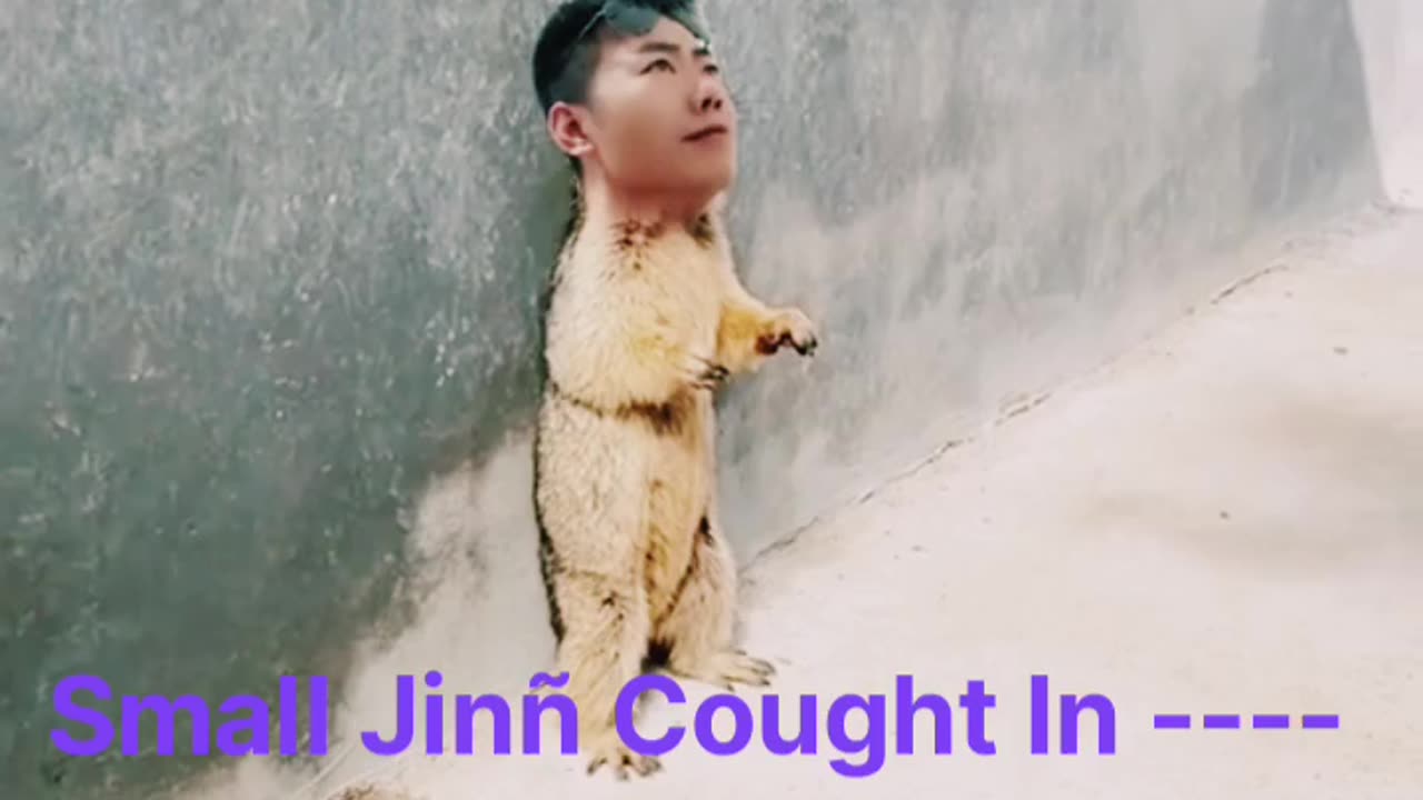 Small Jinn Caught In --------