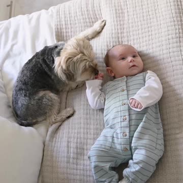 Baby and very cute puppy playing