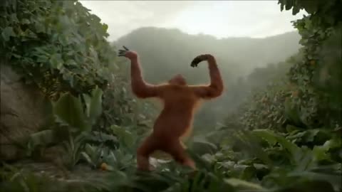 Funny monkey dance