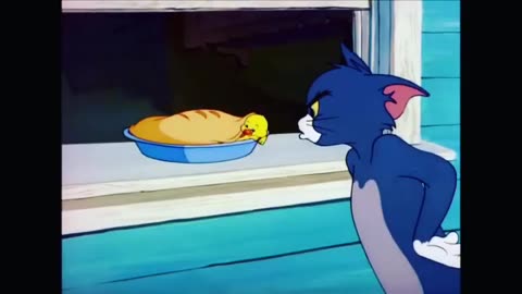 Tom and Jerry funny cartoon video