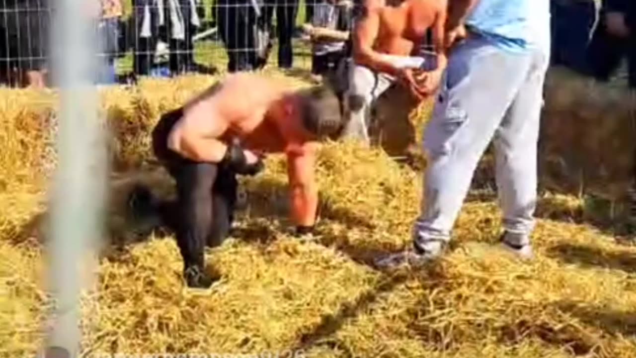 Full fight from Backyard brawls so you don't give Decca a view.