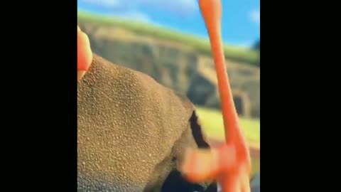 Kids cartoon funny video l