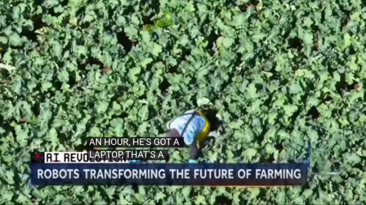 Tainted Salt and Water