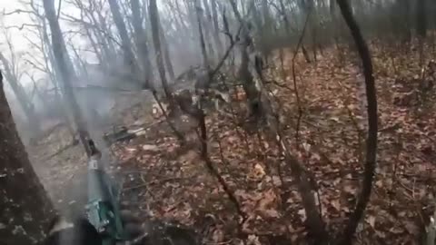 In the forrest near Kremennaya - strictly 18+