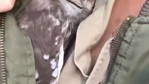 Cute and adorable animal behavior makes anyone happy to see it