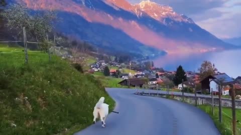 Land of idyllic beauty