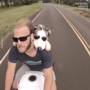 Anti-Loosh Video Number 90. LOOSH is real and bad. Explained below and watch the video!