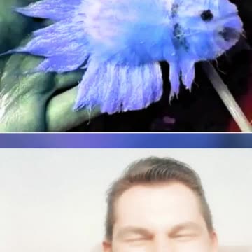 HUMOR - Peixe diferente... #snm #meme #humor