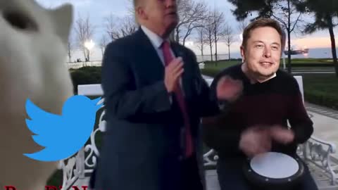 Don the Con is back on Twitter..