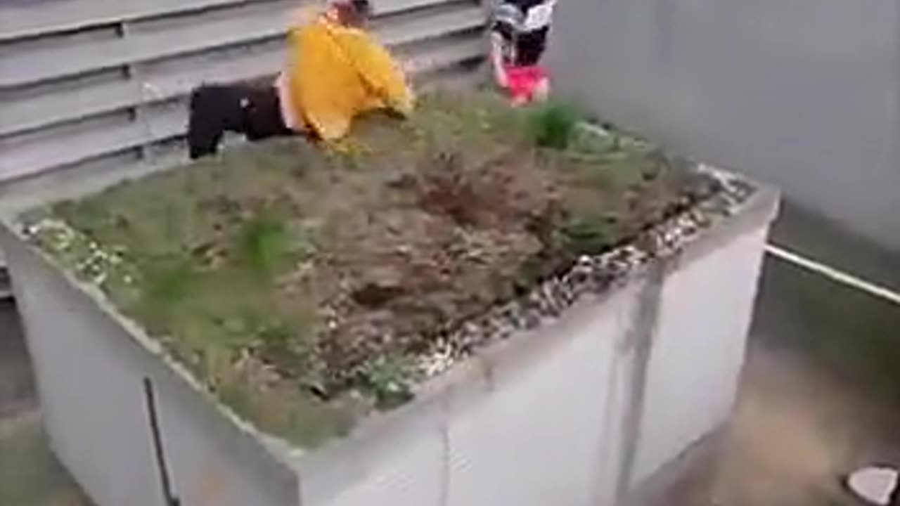 Lol