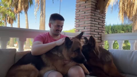 Cuddling with my German Shepherds [Cuteness Overload]