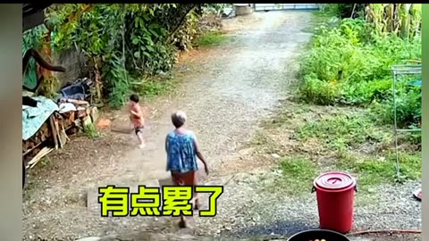 Funny and laughing videos