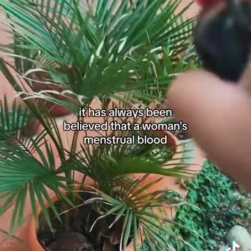 MENSTRUAL BLOOD